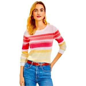 Loft Ombre Stripe Textured Sweater